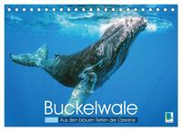 Buckelwale: Aus den blauen Tiefen der Ozeane (Tischkalender 2025 DIN A5 quer), CALVENDO Monatskalender