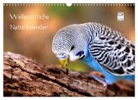 Wellensittiche - Naturkalender (Wandkalender 2025 DIN A3 quer), CALVENDO Monatskalender