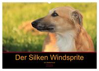 Der Silken Windsprite - ein Seelenhund (Wandkalender 2025 DIN A2 quer), CALVENDO Monatskalender