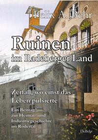 Ruinen im Radeberger Land – Zerfall, wo einst das Leben pulsierte - Ein Beitrag zur Heimat- und Industriegeschichte im Rödertal