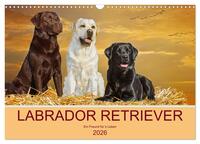Vorderes Coverbild Labrador Retriever - Ein Freund für´s Leben (Wandkalender 2026 DIN A3 quer), CALVENDO Monatskalender
