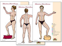 Meridiane 3 Shiatsu Meridian Schaubilder DIN A2