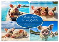 Schweinereien in der Karibik. Sonne und Spaß mit schwimmenden Schweinen (Wandkalender 2026 DIN A3 quer), CALVENDO Monatskalender