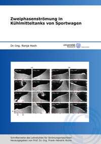 Zweiphasenströmung in Kühlmitteltanks von Sportwagen
