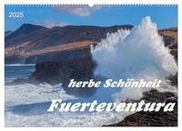Herbe Schönheit Fuerteventura (Wandkalender 2025 DIN A2 quer), CALVENDO Monatskalender