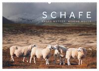 Vorderes Coverbild Schafe - Raues Wetter, weiche Wolle (Wandkalender 2025 DIN A2 quer), CALVENDO Monatskalender