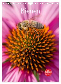Bienenplaner (Wandkalender 2026 DIN A4 hoch), CALVENDO Monatskalender