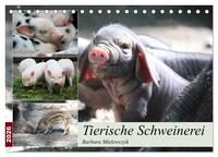 Tierische Schweinerei (Tischkalender 2026 DIN A5 quer), CALVENDO Monatskalender