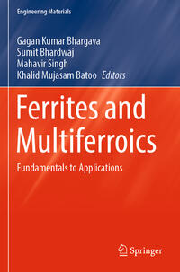 Ferrites and Multiferroics