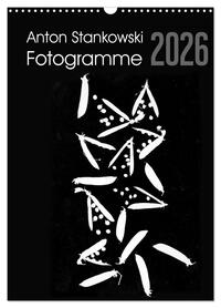 Anton Stankowski Fotogramme (Wandkalender 2026 DIN A3 hoch), CALVENDO Monatskalender