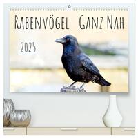 Rabenvögel - ganz nah (hochwertiger Premium Wandkalender 2025 DIN A2 quer), Kunstdruck in Hochglanz