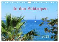 In den Subtropen (Wandkalender 2025 DIN A4 quer), CALVENDO Monatskalender