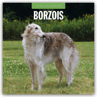 Borzois – Barsoi – Barzaia – Russischer Wolfshund 2026 – 16-Monatskalender