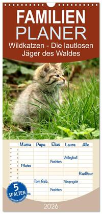 Familienplaner 2026 - Wildkatzen - Die lautlosen Jäger des Waldes mit 5 Spalten (Wandkalender, 21 x 45 cm) CALVENDO