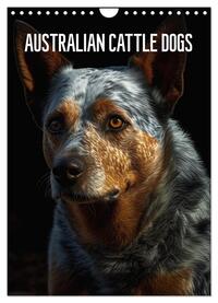 Australian Cattle Dogs (Wandkalender 2025 DIN A4 hoch), CALVENDO Monatskalender