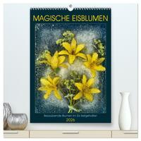 Magische Eisblumen (hochwertiger Premium Wandkalender 2026 DIN A2 hoch), Kunstdruck in Hochglanz
