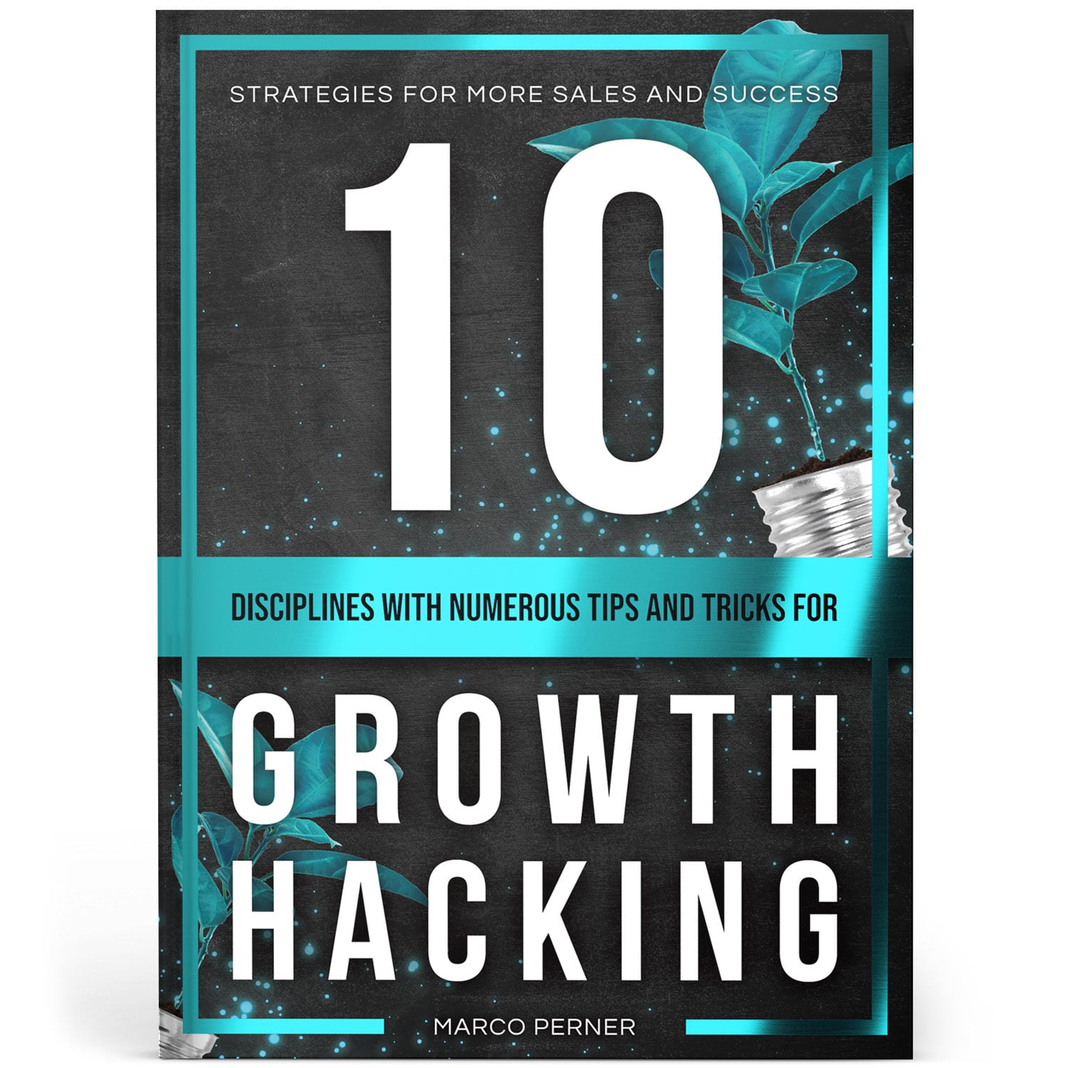 10 Disciplines With Numerous Tips and Tricks for Growth Hacking