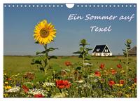 Ein Sommer auf Texel (Wandkalender 2026 DIN A4 quer), CALVENDO Monatskalender