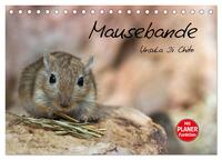 Mausebande (Tischkalender 2025 DIN A5 quer), CALVENDO Monatskalender