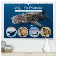 Big Five Australiens Buckelwal, Walhai, Orca, Quokka,Känguru (hochwertiger Premium Wandkalender 2026 DIN A2 quer), Kunstdruck in Hochglanz