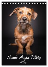 Hunde-Augen-Blicke (Tischkalender 2026 DIN A5 hoch), CALVENDO Monatskalender