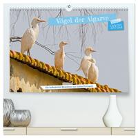 Vögel der Algarve (hochwertiger Premium Wandkalender 2025 DIN A2 quer), Kunstdruck in Hochglanz
