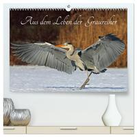 Aus dem Leben der Graureiher (hochwertiger Premium Wandkalender 2026 DIN A2 quer), Kunstdruck in Hochglanz