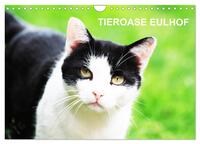 Eulhof (Wandkalender 2025 DIN A4 quer), CALVENDO Monatskalender