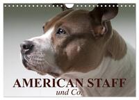 American Staff und Co. (Wandkalender 2026 DIN A4 quer), CALVENDO Monatskalender