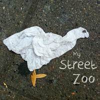 My Street Zoo