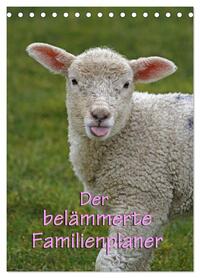 Der belämmerte Familienplaner (Tischkalender 2026 DIN A5 hoch), CALVENDO Monatskalender