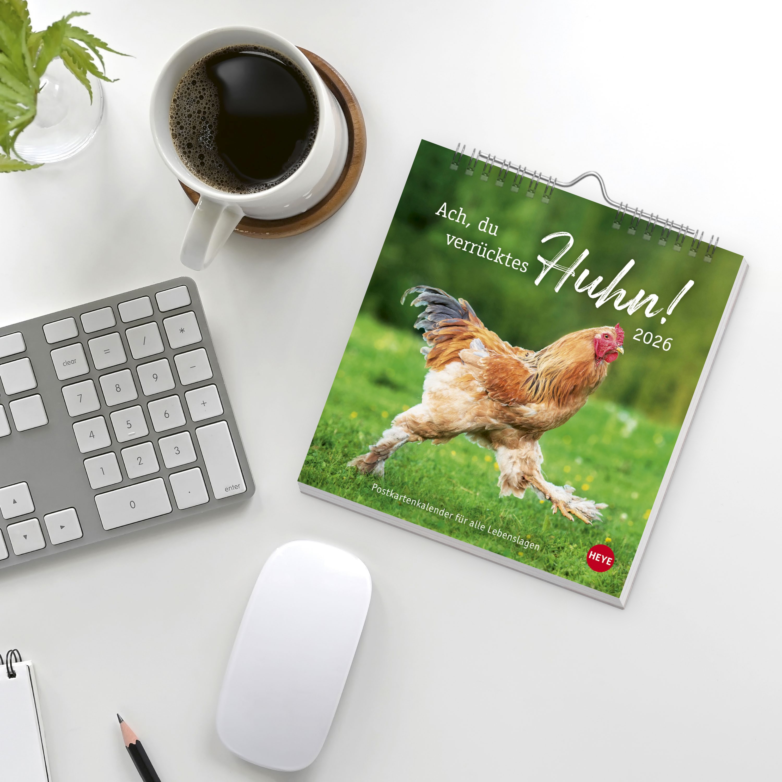 Hühner Postkartenkalender 2026 - Ach, du verrücktes Huhn!