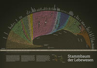 Stammbaum der Lebewesen