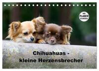 Chihuahuas - kleine Herzensbrecher (Tischkalender 2025 DIN A5 quer), CALVENDO Monatskalender