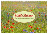 Wilde Blumen - ein Spaziergang durch die Natur (Wandkalender 2025 DIN A2 quer), CALVENDO Monatskalender