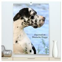 Faszination Deutsche Dogge (hochwertiger Premium Wandkalender 2025 DIN A2 hoch), Kunstdruck in Hochglanz