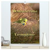 Wellensittiche Terminplaner (hochwertiger Premium Wandkalender 2026 DIN A2 hoch), Kunstdruck in Hochglanz