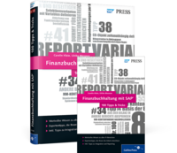 Finanzbuchhaltung mit SAP - 100 Tipps & Tricks