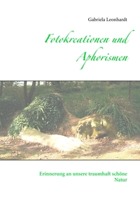 Vorderes Coverbild Fotokreationen und Aphorismen