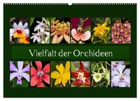 Vielfalt der Orchideen (Wandkalender 2025 DIN A2 quer), CALVENDO Monatskalender