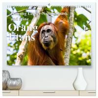 Gunung Leuser Nationalpark und seine Orang Utans (hochwertiger Premium Wandkalender 2025 DIN A2 quer), Kunstdruck in Hochglanz