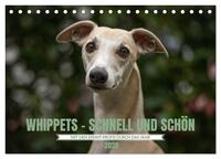 WHIPPETS - SCHNELL UND SCHÖN (Tischkalender 2025 DIN A5 quer), CALVENDO Monatskalender