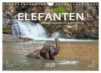 Elefanten - Baden, Planschen, Rüsseln (Wandkalender 2025 DIN A4 quer), CALVENDO Monatskalender
