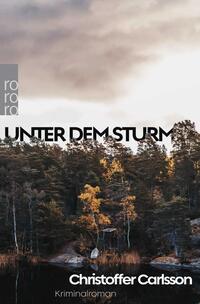Vorderes Coverbild Unter dem Sturm