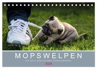 Mopswelpen (Tischkalender 2025 DIN A5 quer), CALVENDO Monatskalender