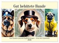 Gut behütete Hunde (Wandkalender 2026 DIN A2 quer), CALVENDO Monatskalender
