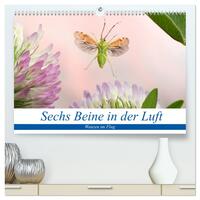 Sechs Beine in der Luft - Wanzen im Flug (hochwertiger Premium Wandkalender 2026 DIN A2 quer), Kunstdruck in Hochglanz