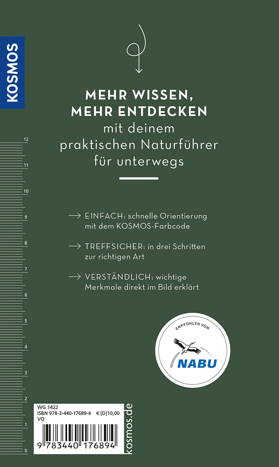Rückseitencover Basic Greifvögel und Eulen