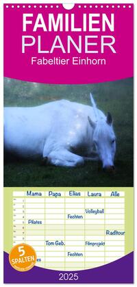 Familienplaner 2025 - Fabeltier Einhorn mit 5 Spalten (Wandkalender, 21 x 45 cm) CALVENDO