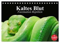 Kaltes Blut. Faszination Reptilien (Tischkalender 2025 DIN A5 quer), CALVENDO Monatskalender